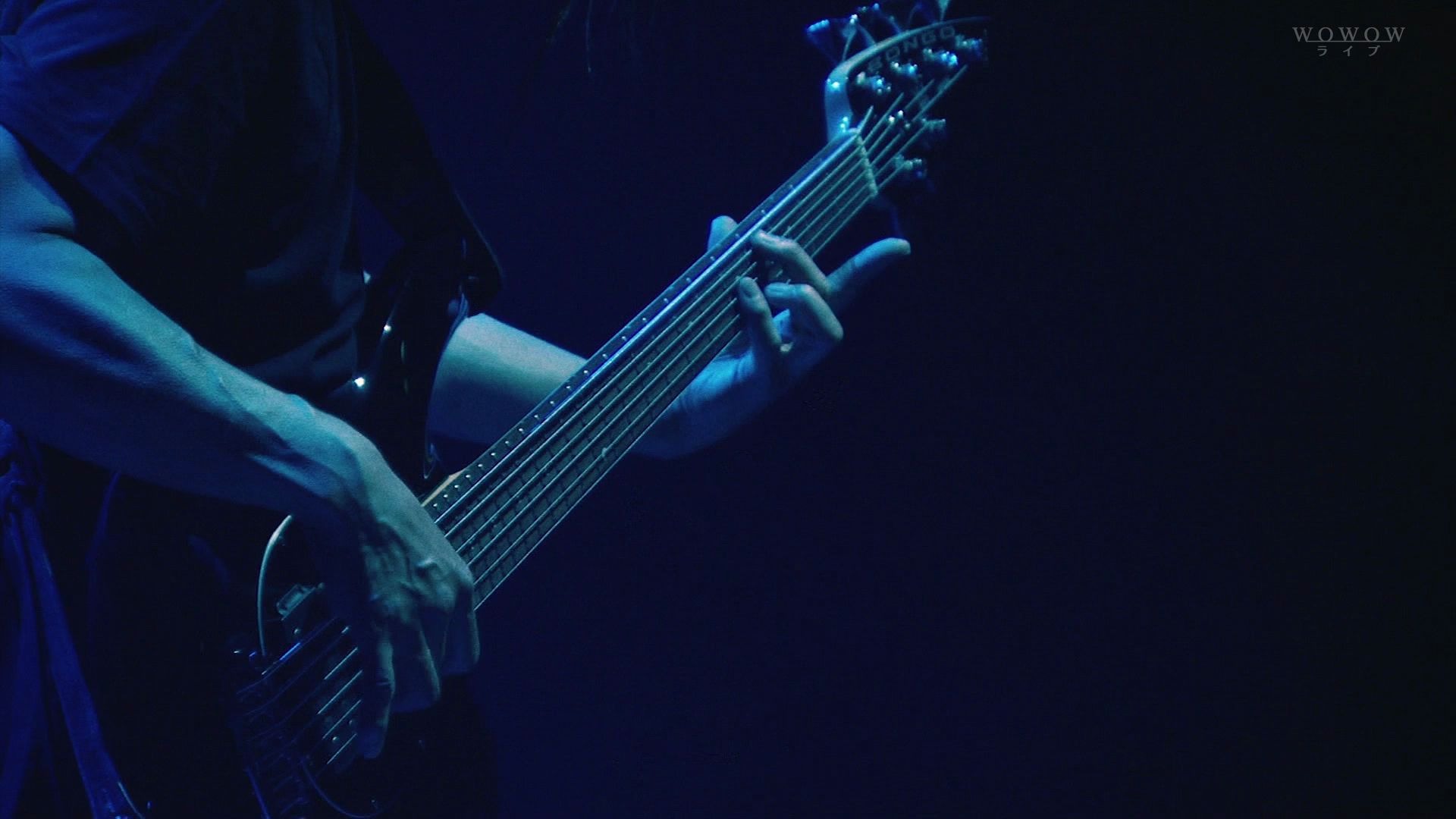 john myung - portrait of tracy 贝斯独奏 (原著 - jaco pastorius)