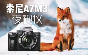 Tải video: 【A7M3】夜视仪模式带你体验“动物世界”—— 半夜偶遇小狐狸