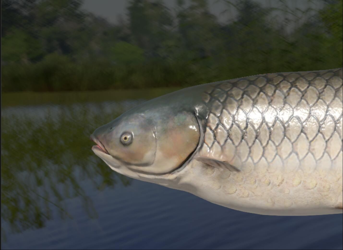 [俄罗斯钓鱼4]买轮子真不能偷工减料.