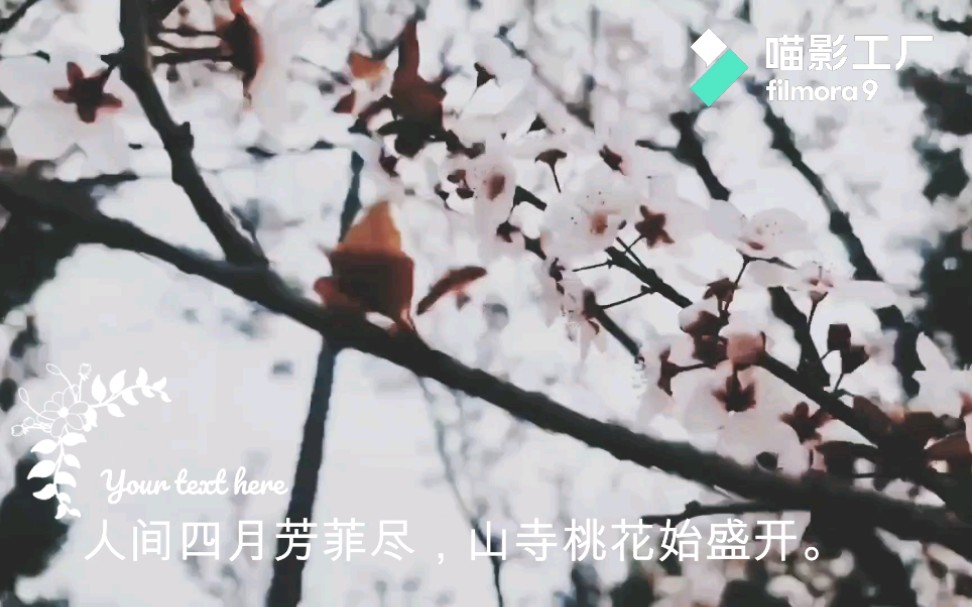 [图]vlog人间四月芳菲尽