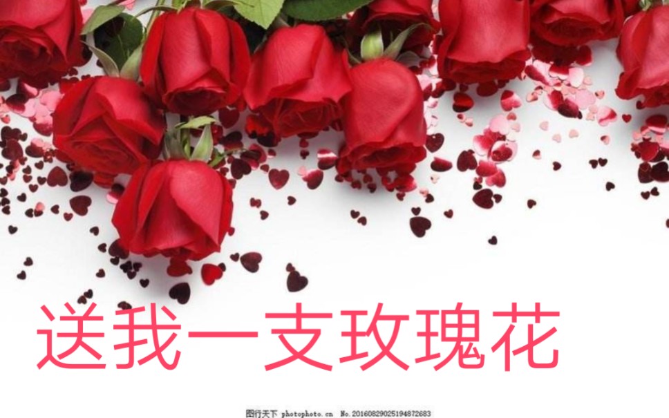 重唱《送我一支玫瑰花》_哔哩哔哩_bilibili