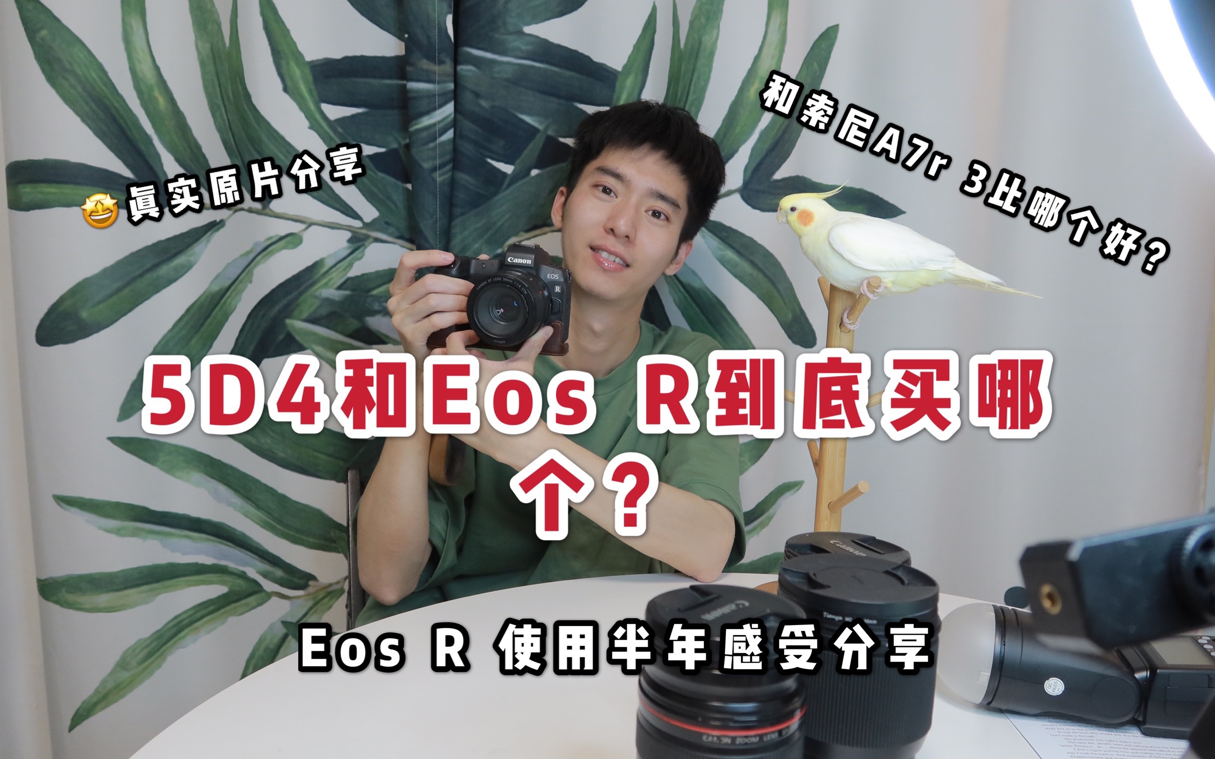 佳能EOS R和5D4以及索尼A7r3到底买哪个?佳能EOSR使用半年真实反馈哔哩哔哩bilibili