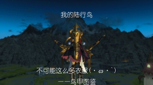 Ff14 把诗的终章加上点滤镜并加上字幕后 哔哩哔哩 つロ干杯 Bilibili