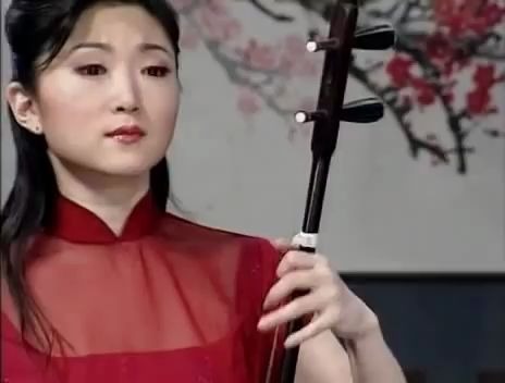 [图]「精彩国乐」一枝花 Erhu（二胡）- Yu Hong Mei 于红梅