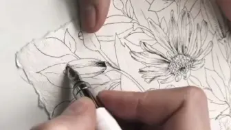 9-Visconti 伦布朗钢笔画