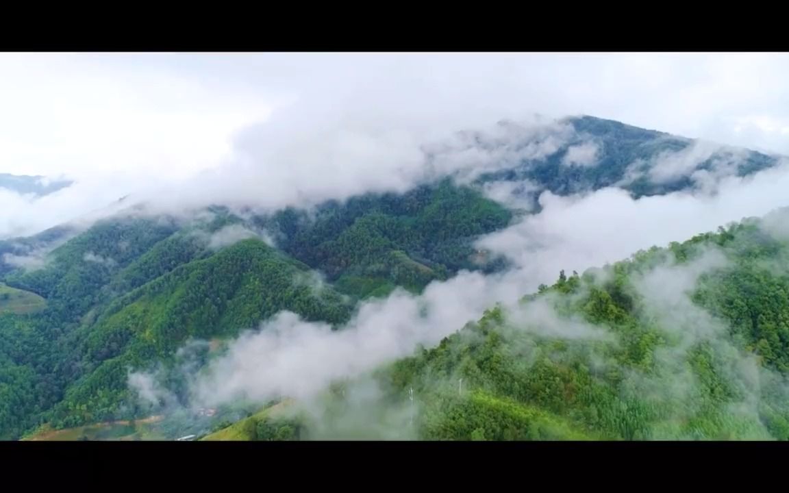 [图]好美的一首《醉在沁河》醉人醉心，无比动听！