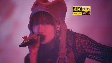 Ayase / Davinci】The Bloom_哔哩哔哩_bilibili