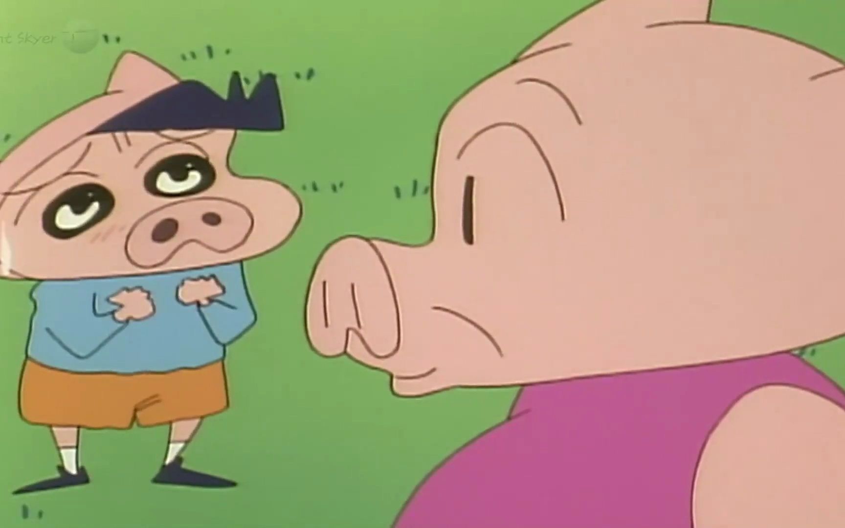 我们是三只小猪哦~two