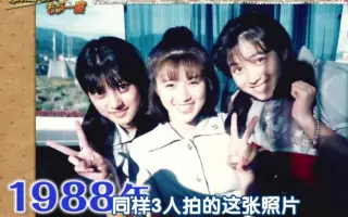 西村知美 哔哩哔哩 Bilibili