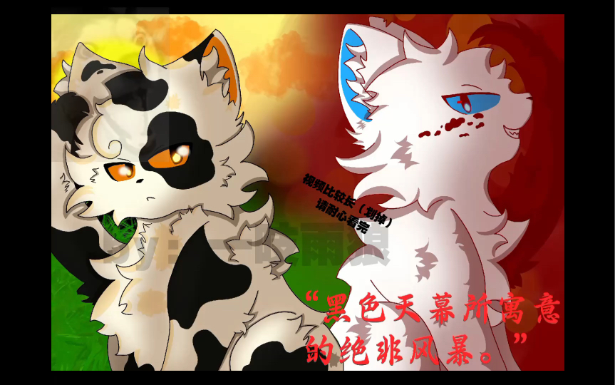 【猫武士】紫罗兰光&暗尾