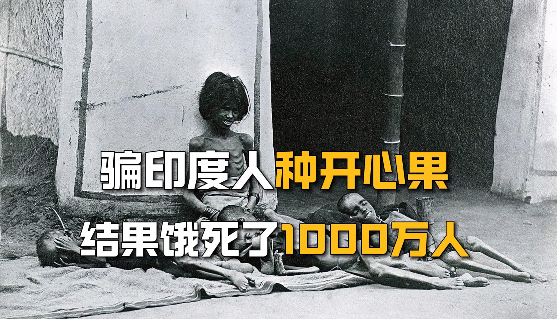 民营公司骗印度人种开心果,结果饿死了1000万人哔哩哔哩bilibili