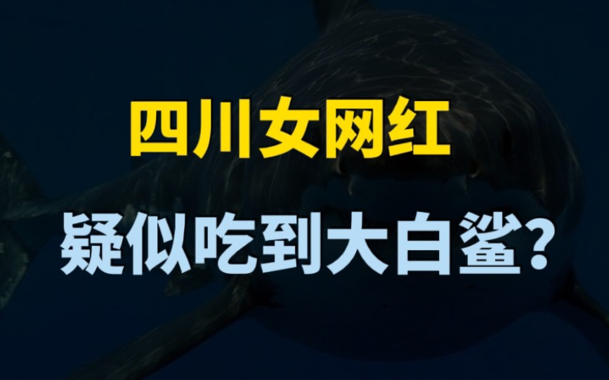 百万网红回应烹食噬人鲨:尖齿鲨是什么?看完你就明白了哔哩哔哩bilibili