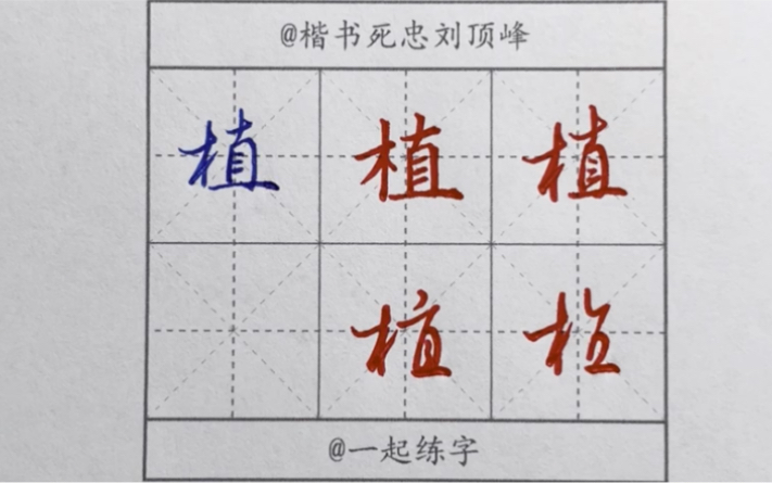 植——贻厥嘉猷勉其祗植“楷行草繁简千字文”哔哩哔哩bilibili