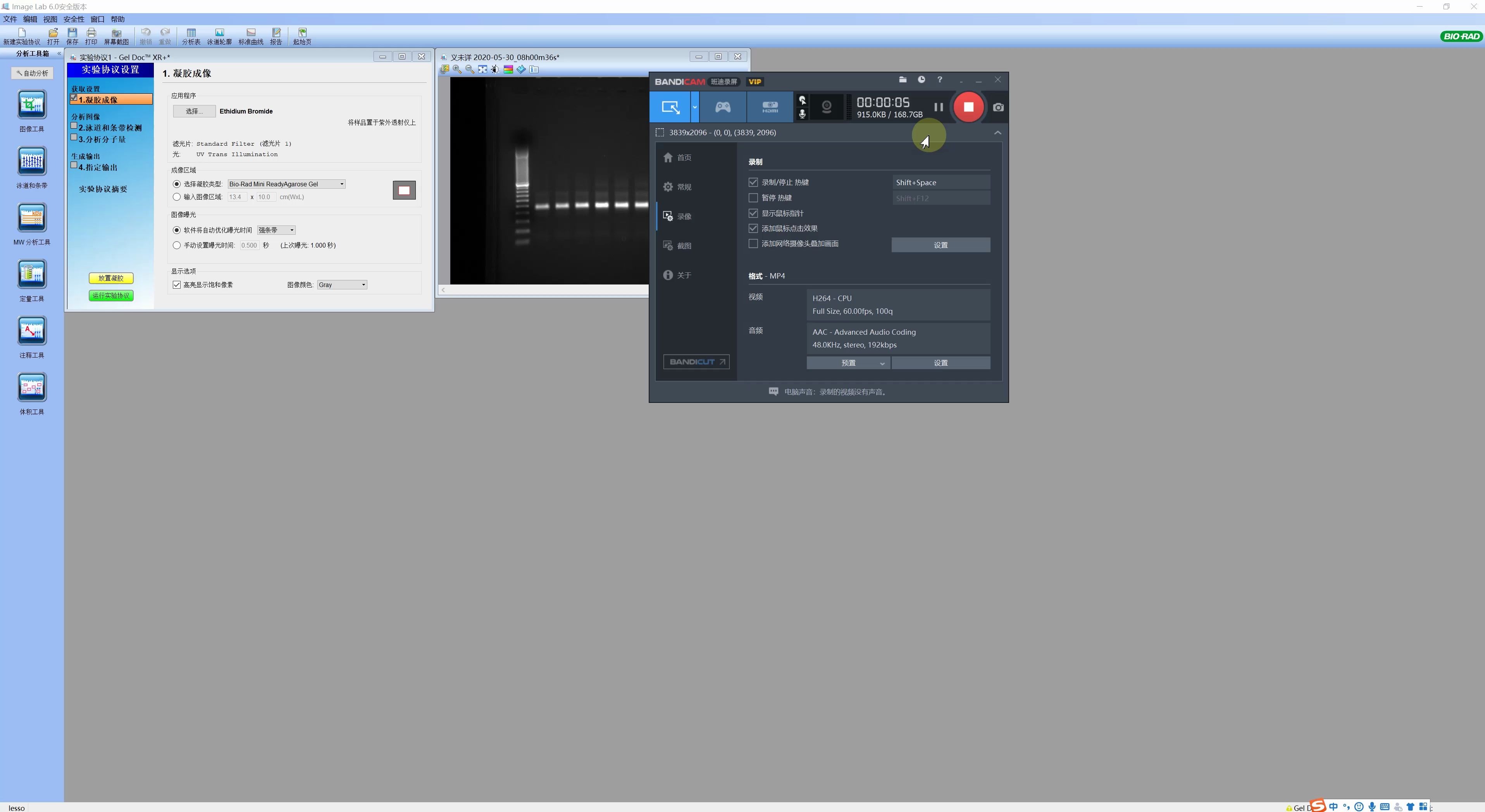 BioRad凝胶成像软件Imagelab软件应用(二)哔哩哔哩bilibili