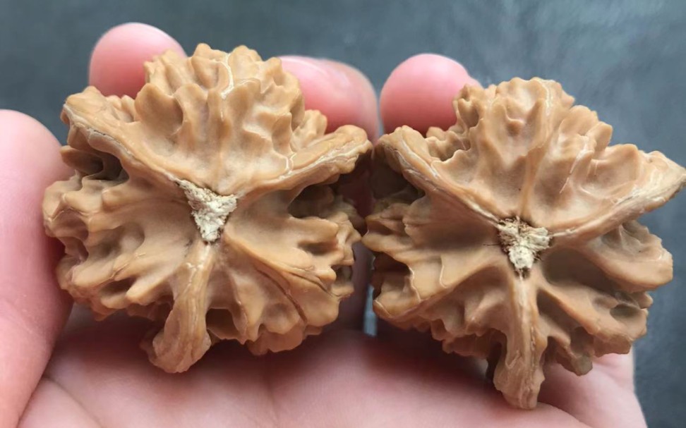 盘山三棱 全品三无37/37/37.