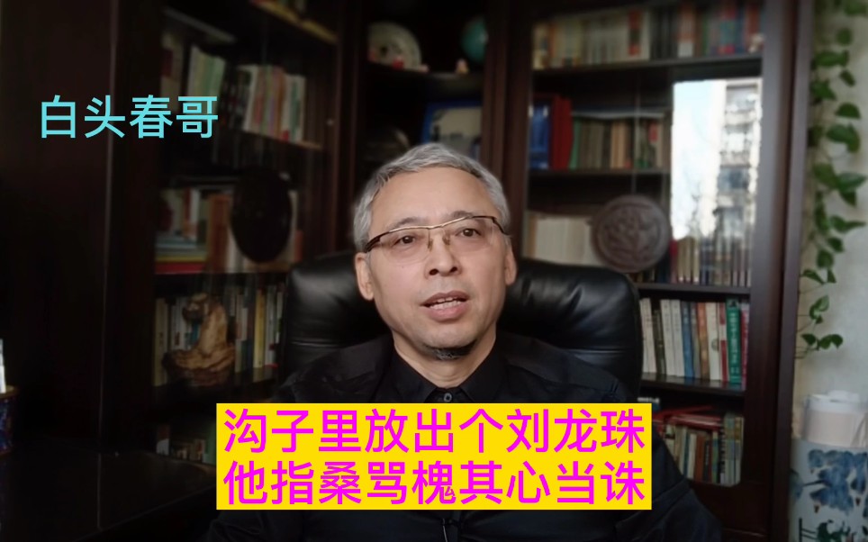 沟子里放出个刘龙珠,他指桑骂槐其心当诛