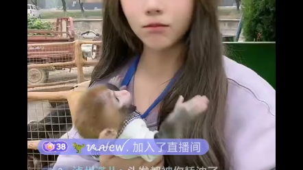 可爱可心 抖音直播 20221102哔哩哔哩bilibili