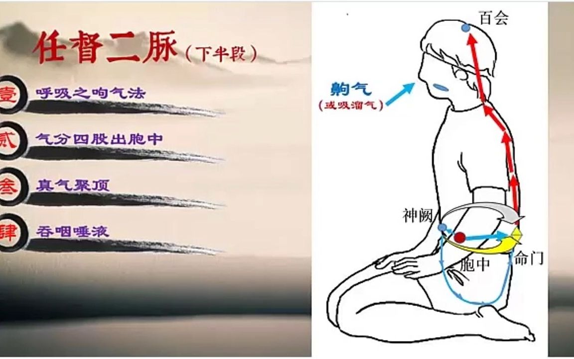 [图]任督二脉上半段的打通