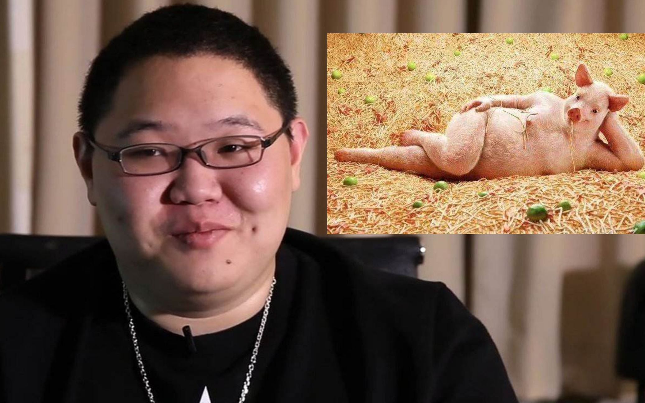 骚猪pdd玩cf小丑模式全程猪叫不断,爆笑全程笑出腹肌