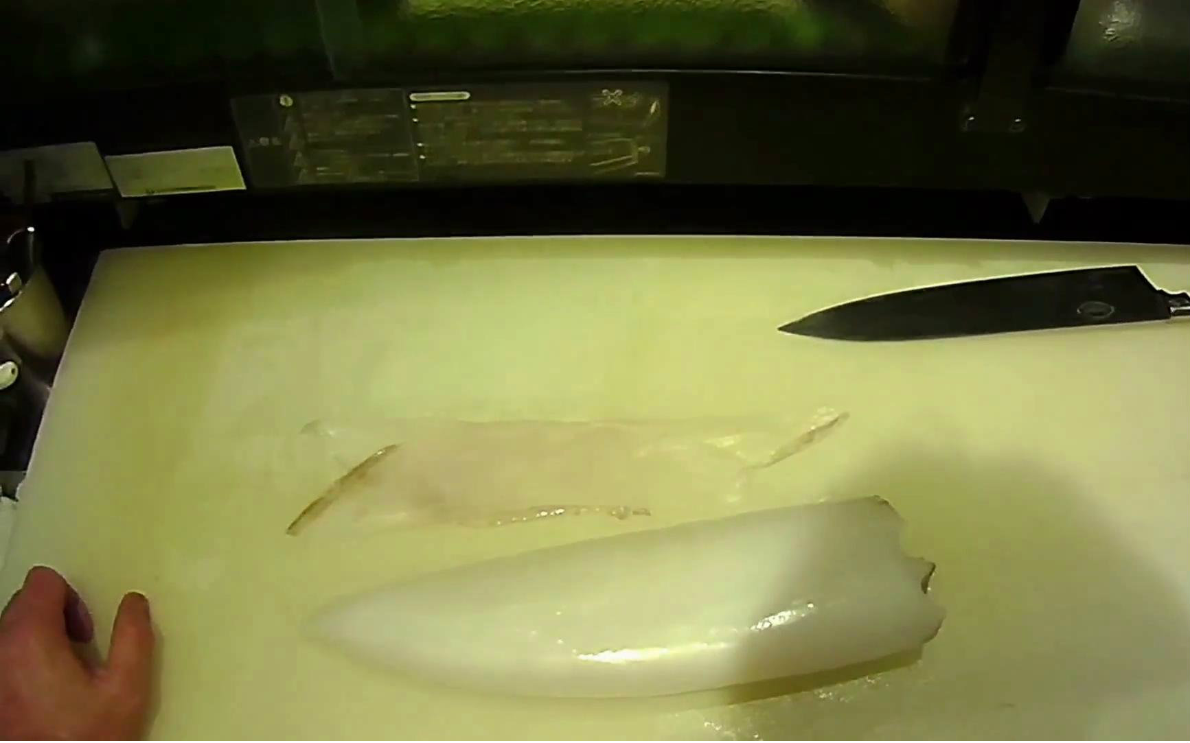 【日料刀工系列】水乌贼分解取墨囊