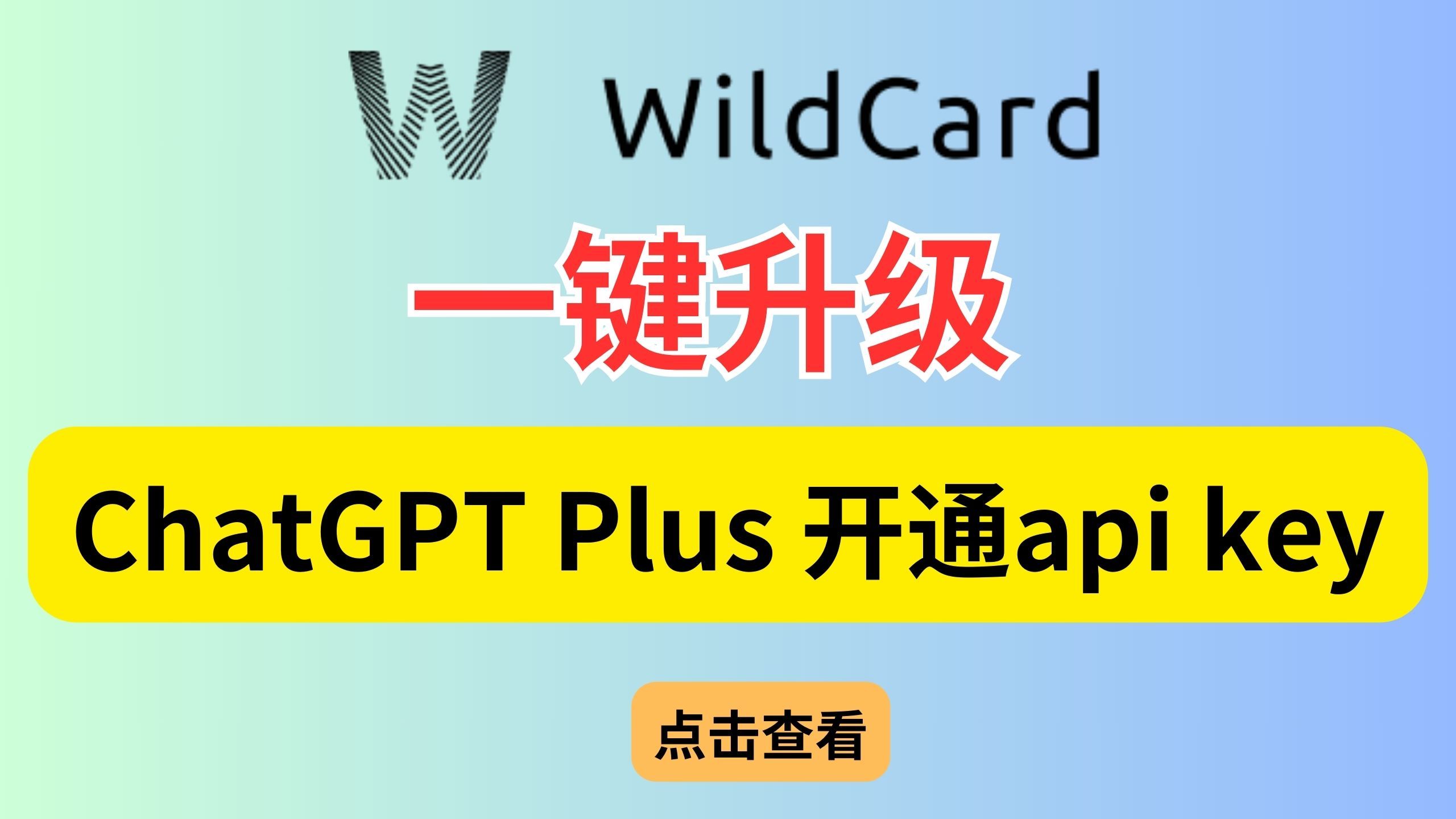 使用Wildcard注册到升级ChatGPT Plus,openai api,获取mastercard(万事达)美元信用卡的最新方法!支持支付宝**支付,哔哩哔哩bilibili