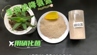 生物法降氨氮优势#氨氮降解菌 #好氧菌#厌氧菌#硝化菌#反硝化菌