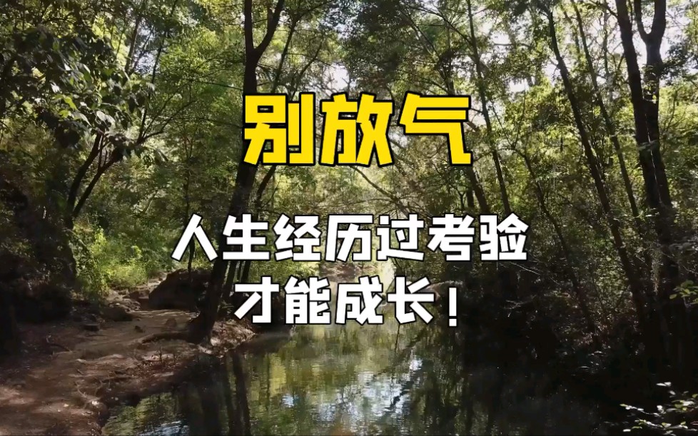 别放气,人生经历过考验,才能成长_哔哩哔哩_bilibili