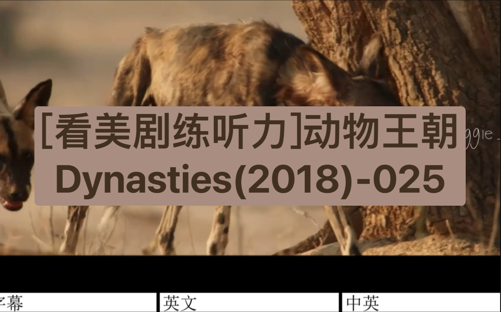 [图][看美剧练听力]动物王朝Dynasties(2018)-025