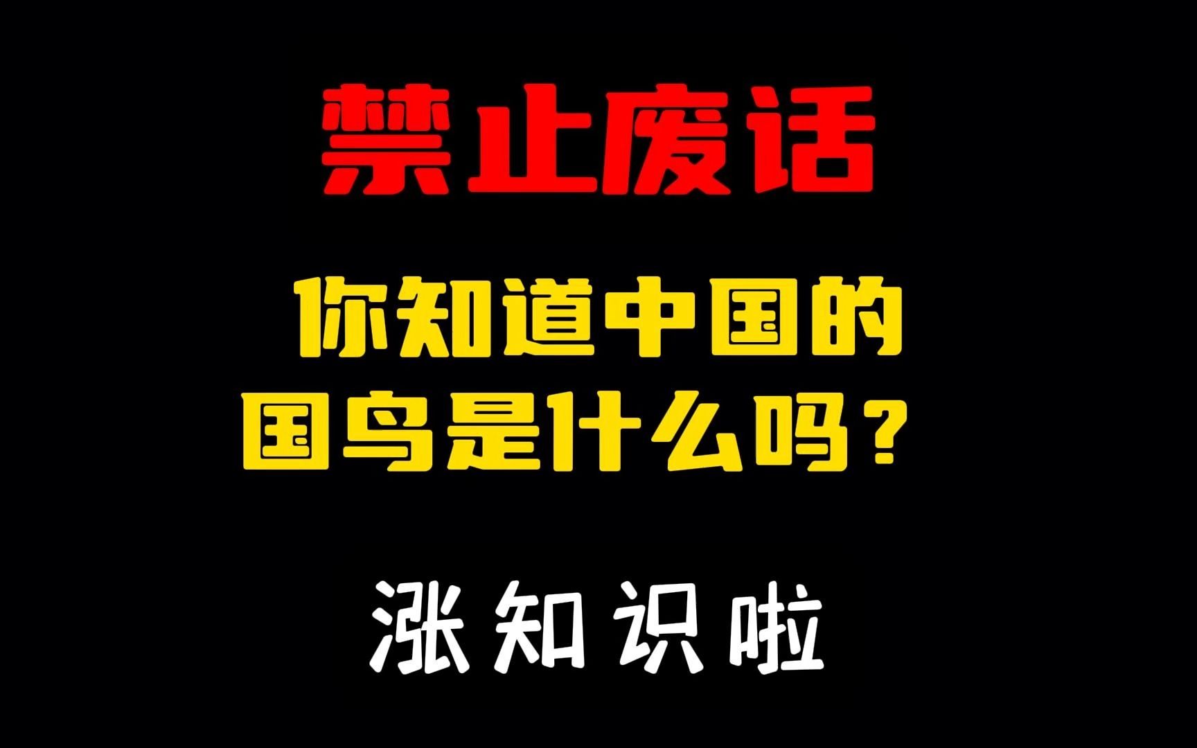 禁止废话:你知道中国的国鸟是什么吗?#涨知识了#省流哔哩哔哩bilibili