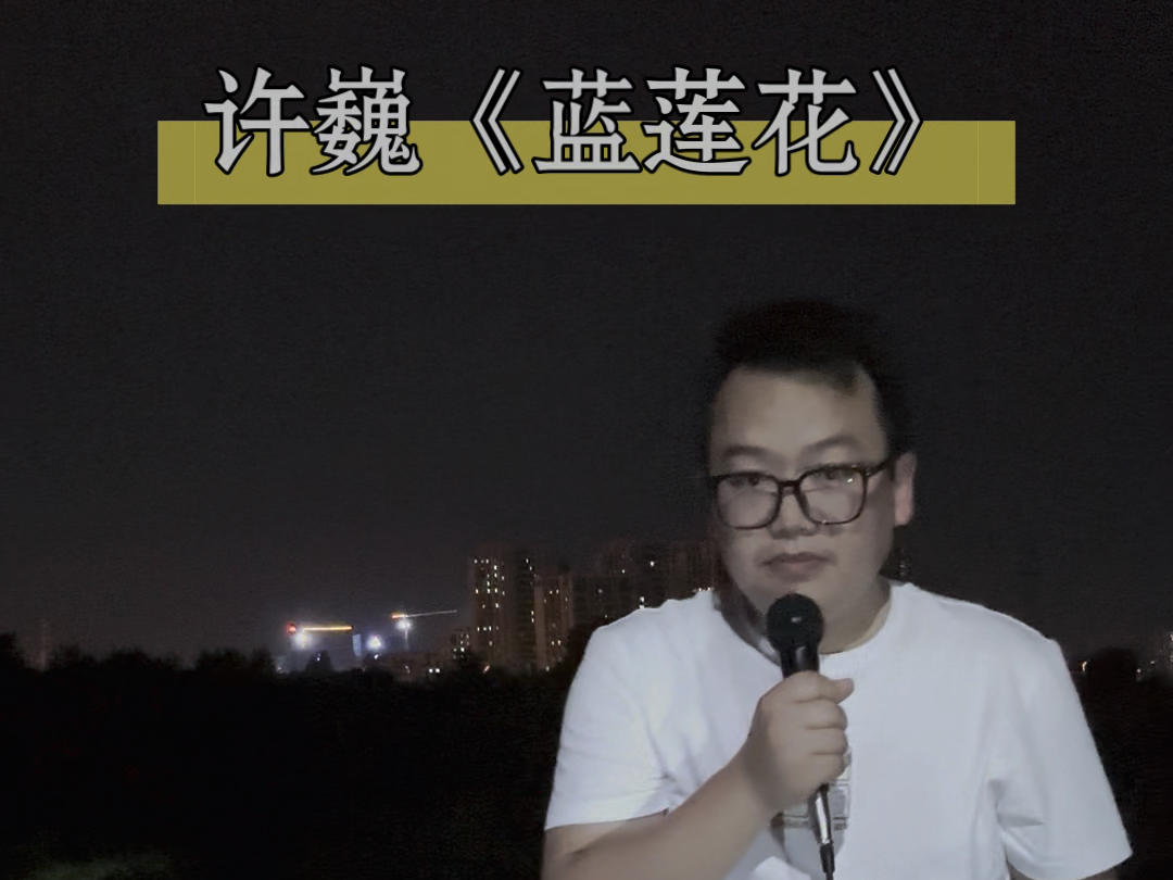 【翻唱】许巍《蓝莲花》