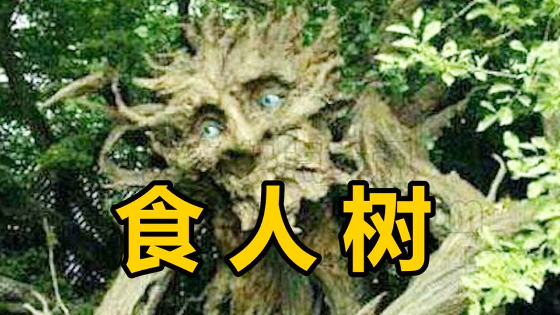 非洲存在4000年的好色食人树,传闻只吃女性,它真的存在吗?