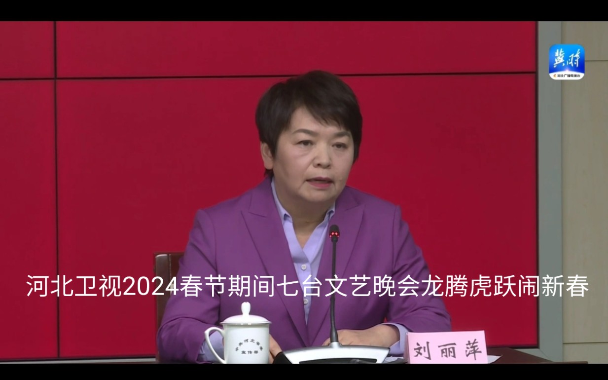 [图]河北卫视2024春节期间七台文艺晚会龙腾虎跃闹新春