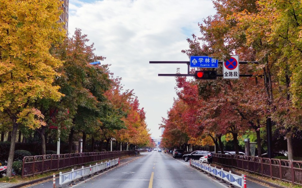 丹枫秋意-杭州的深秋真的令人上头