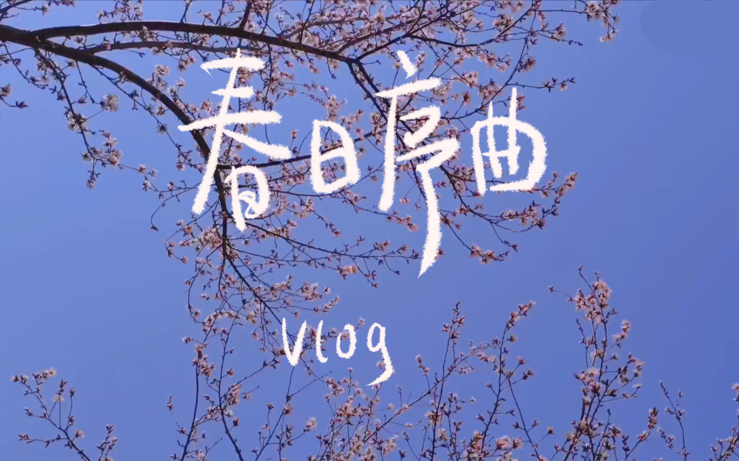 vlog | 三月碎片|过春天|学习日常|三月里那些治愈我的瞬间|春日花宴哔哩哔哩bilibili