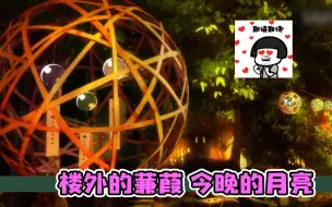 Download Video: 楼外的蒹葭，今晚的月亮！