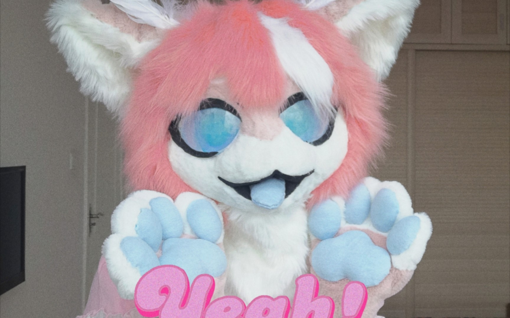 新人兽装fursuit小脆饼又能有什么坏心思呢