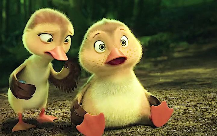 【妈妈咪鸭】 小鸭子饿起来太可怕了吧