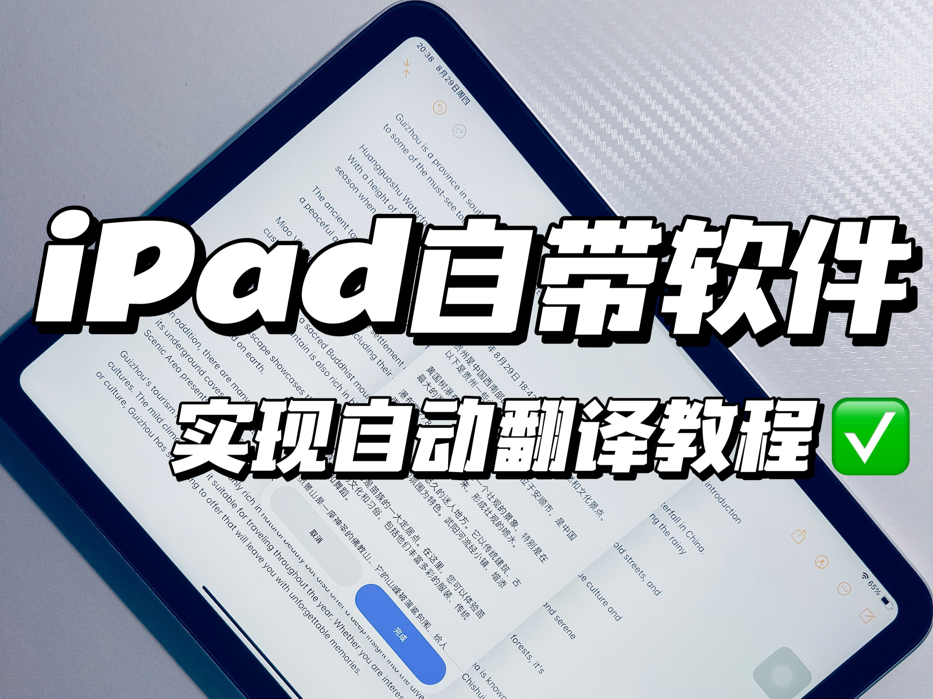 iPad自带软件❗️一分钟实现自动翻译教程✅哔哩哔哩bilibili