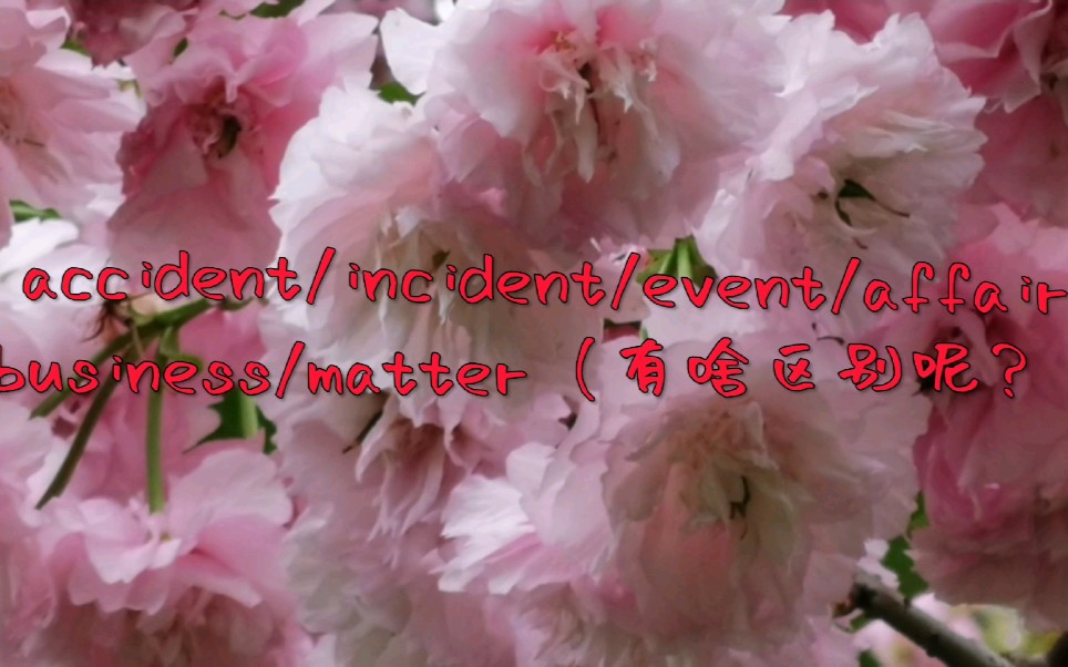 accident/incident/event/affair/business/matter(有啥区别呢?)哔哩哔哩bilibili