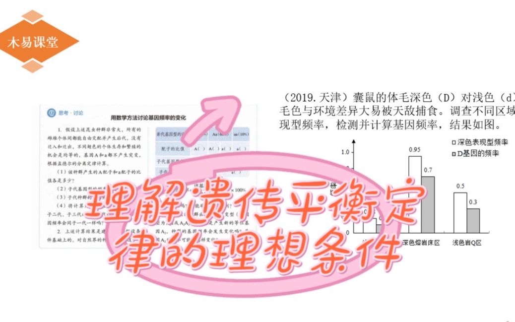 理解遗传平衡定律哔哩哔哩bilibili