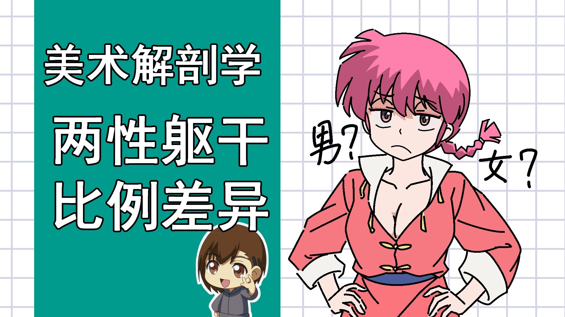 美术解剖学-58-两性躯干比例差异