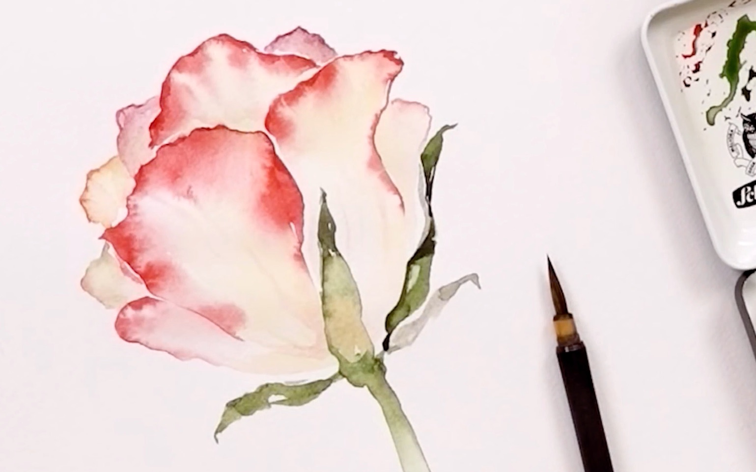 史明克水彩玫瑰花简易版侧面