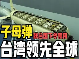 Descargar video: 台湾唯一领先全球的武器，内部装有自毁模式。美国都想要进行采购！杀伤力恐怖！堪比小型核弹！