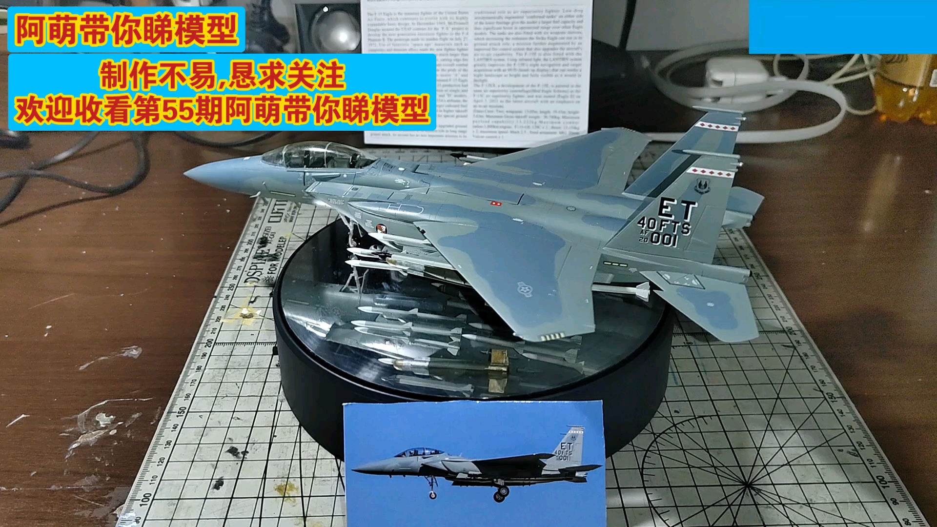 王鹰f15ex模型展示