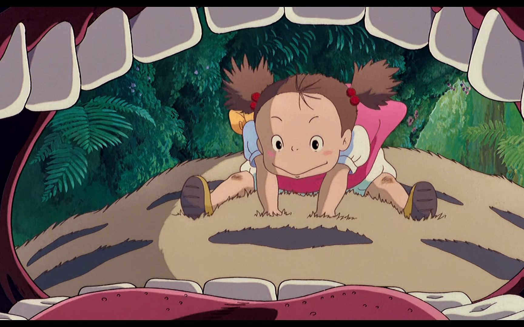 我也想拥有一只大龙猫之小梅小月