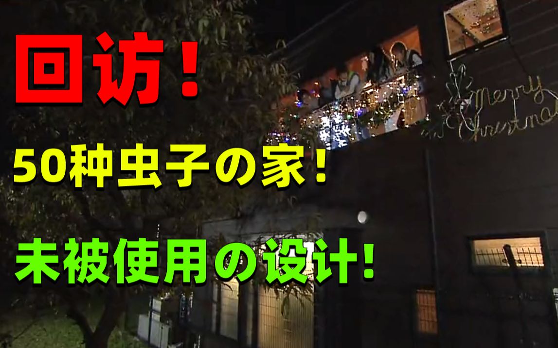 麒麟:回访!雅士の设计竟然被弃用?!虫虫之家的第一个圣诞节!哔哩哔哩bilibili