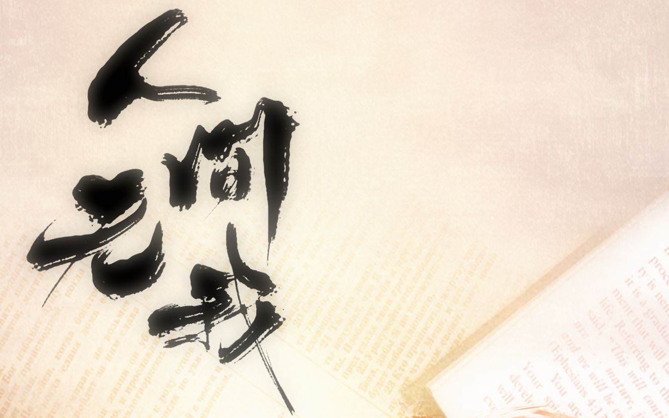 【炊饭】《人间》系列之《人间无我》