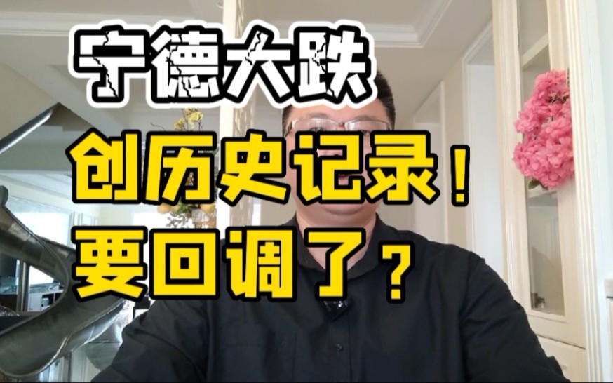 宁德大跌,创历史记录!你抄底了吗?哔哩哔哩bilibili