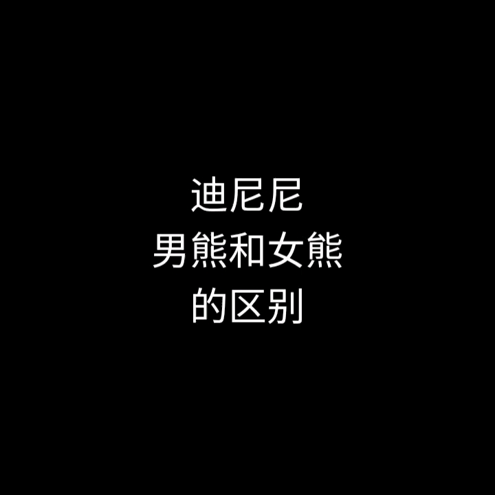 迪尼尼男熊和女熊的区别哔哩哔哩bilibili