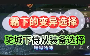 Download Video: 久等啦！霸下的变异选择，驼城下侍从装备选择教学。